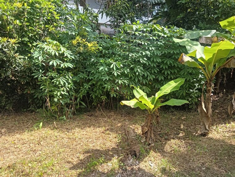 Garden, kuttoor  3376 Sq.Ft. Plot In Kuttoor Thrissur 9723080