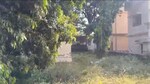 100 Sq.Yd. Plot in Near It Park Sahastradhar