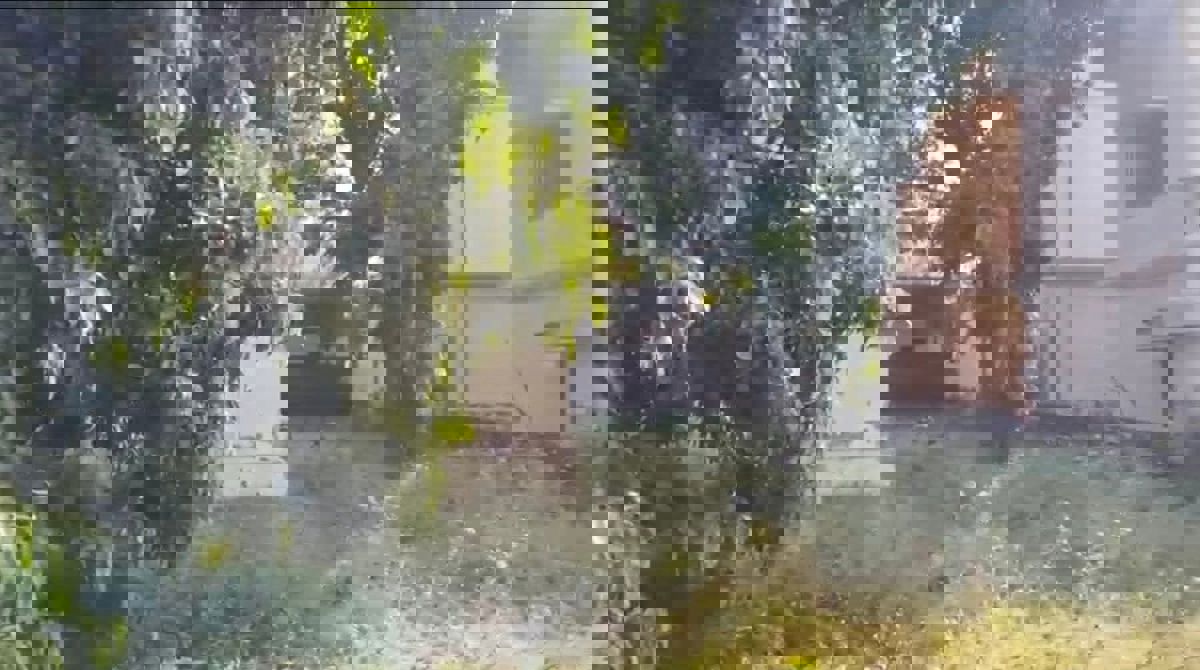 Plot For Sale in Near It Park Sahastradhar