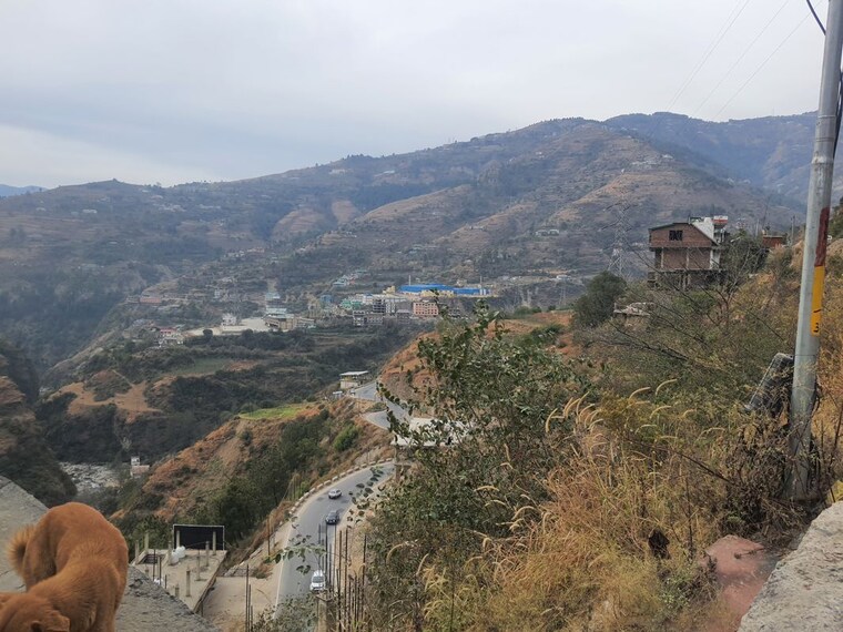 undefined, thoeg 6+ Bedroom 10000 Sq.Ft. Independent House In Thoeg Shimla 9723161