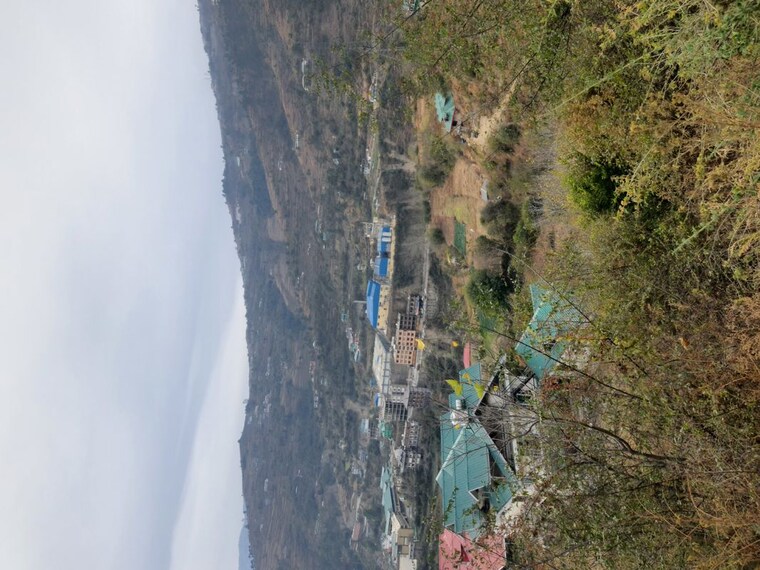 Garden, thoeg 6+ Bedroom 10000 Sq.Ft. Independent House In Thoeg Shimla 9723161