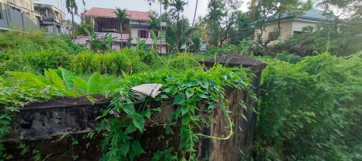 Garden, kokkala Commercial Land 5663 Sq.Ft. In Kokkala Thrissur 9723102