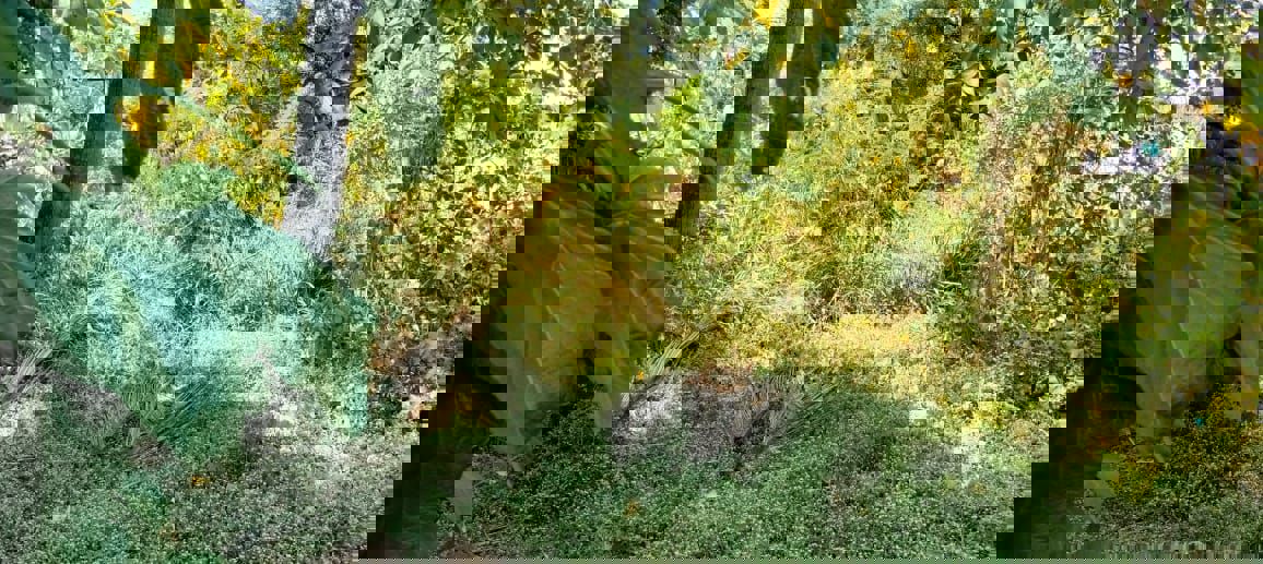 Plot For Sale in Peringavu