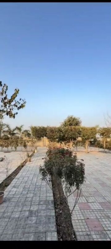 Plot Area in  Plot at Shree Balaji CGHS, Sector 45 – for Sale