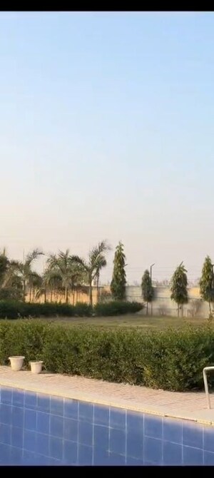 Plot Area in  Plot at Shree Balaji CGHS, Sector 45 – for Sale