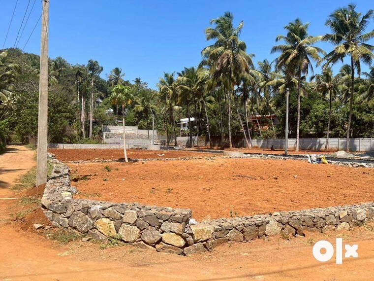undefined, muthuvara  2616 Sq.Ft. Plot In Muthuvara Thrissur 9723386