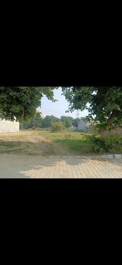 Plot For Sale in Sector 110