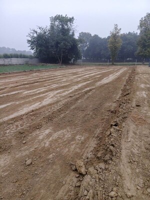 Plot Area in  Plot at Paliya – for Sale