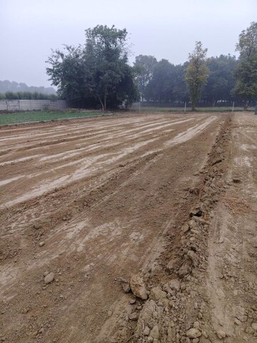 Plot Area in  Plot at Paliya – for Sale