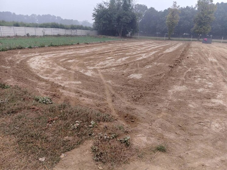 undefined, paliya  1000 Sq.Ft. Plot In Paliya Lucknow 9723413