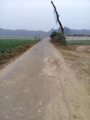 Plot Area in  Plot at Paliya – for Sale