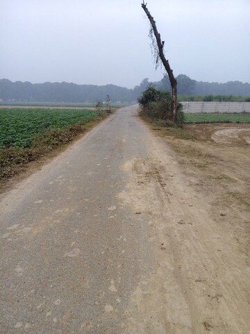 Plot Area in  Plot at Paliya – for Sale