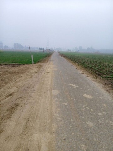 Plot Area in  Plot at Paliya – for Sale