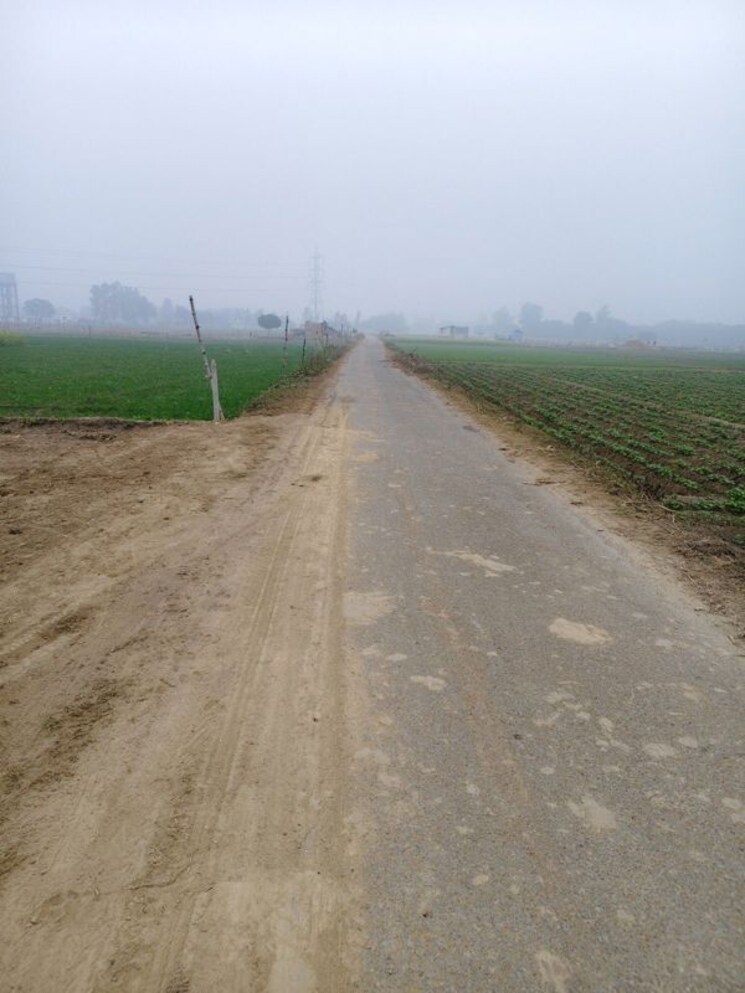 undefined, paliya  1000 Sq.Ft. Plot In Paliya Lucknow 9723413