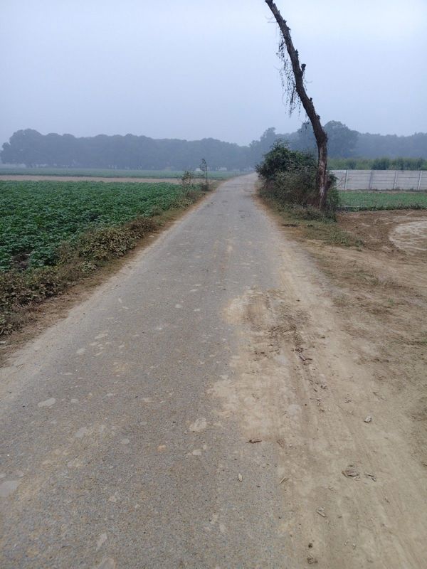 Plot For Sale in Paliya