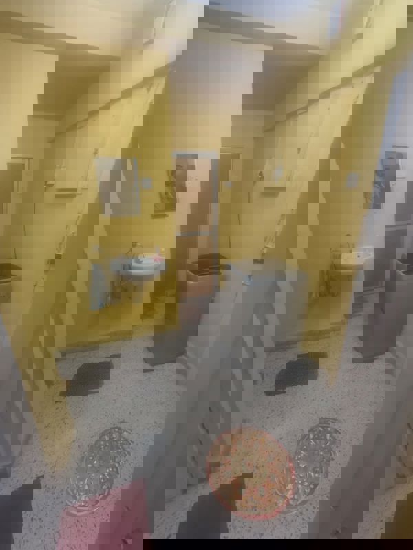 1.5 BHK Apartment For Rent in Bajaj Emerald