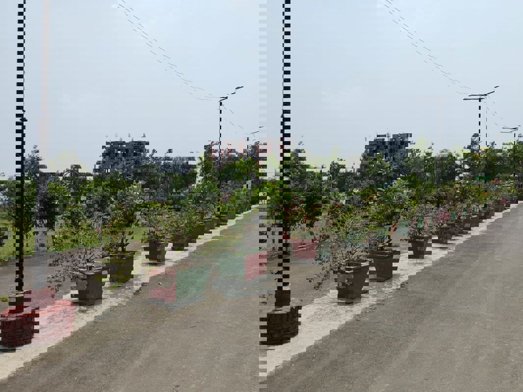 Plot For Sale in Sector 20 Yamuna Expressway