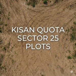 Plot Area in  Plot at Sector 25 Yamuna Expressway – for Sale