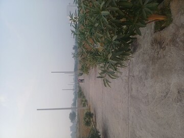  Plot – Exterior View View at Jewar - for Sale