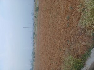  Plot – Exterior View View at Jewar - for Sale