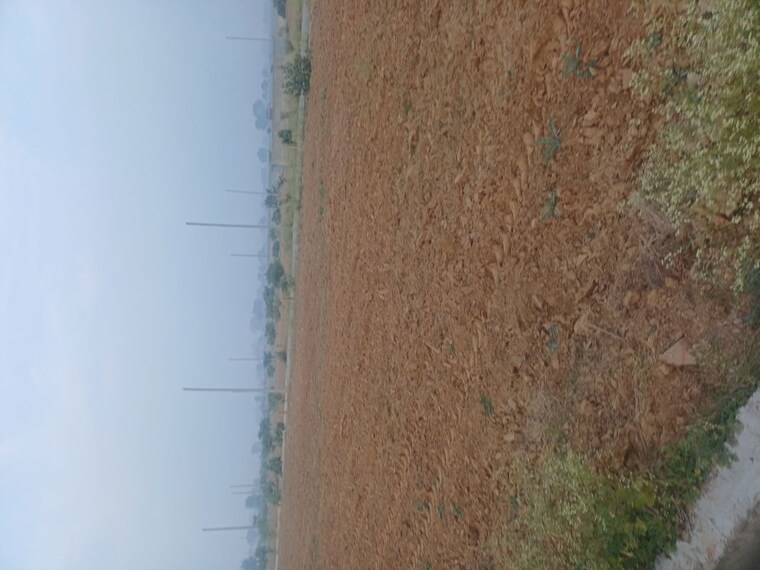 Exterior View, jewar  195 Sq.Yd. Plot In Jewar Greater Noida 9723675