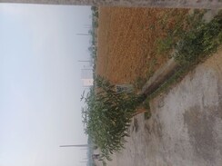 Plot For Sale in Jewar