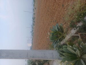  Plot – Exterior View View at Jewar - for Sale