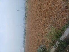 Plot For Sale in Jewar