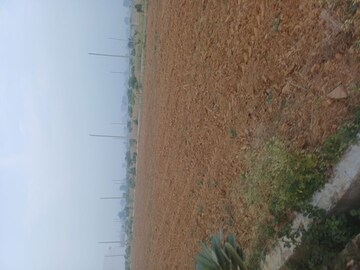  Plot For Sale in Jewar