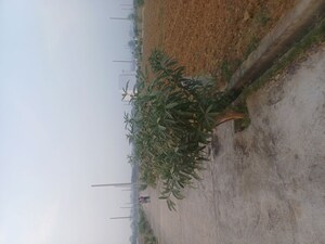  Plot – Exterior View View at Jewar - for Sale