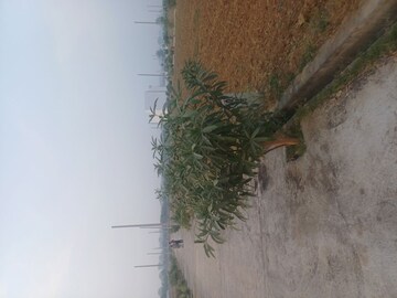  Plot – Exterior View View at Jewar - for Sale