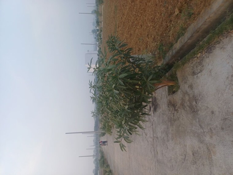 Exterior View, jewar  200 Sq.Yd. Plot In Jewar Greater Noida 9723689