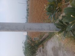 Plot For Sale in Jewar
