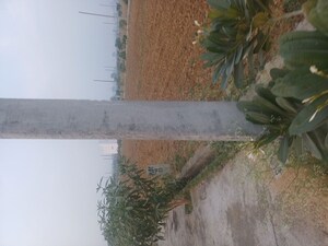  Plot For Sale in Jewar