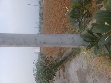  Plot For Sale in Jewar