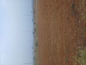  Plot – Exterior View View at Jewar - for Sale