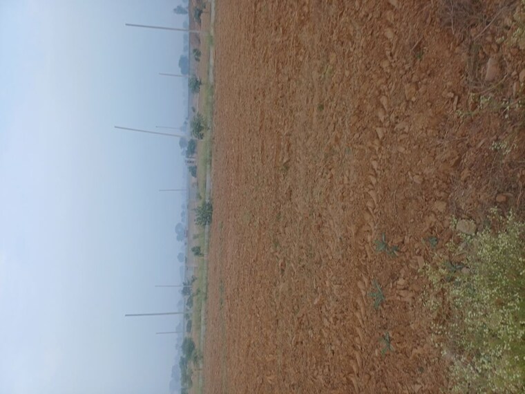 Exterior View, jewar  205 Sq.Yd. Plot In Jewar Greater Noida 9723701