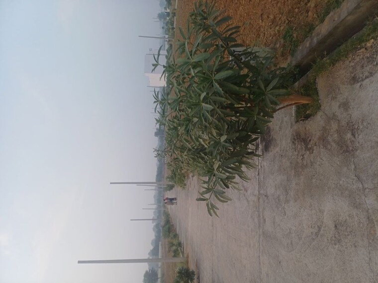 Exterior View, jewar  205 Sq.Yd. Plot In Jewar Greater Noida 9723701