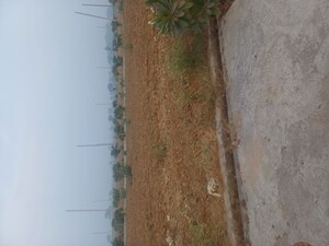  Plot – Exterior View View at Jewar - for Sale