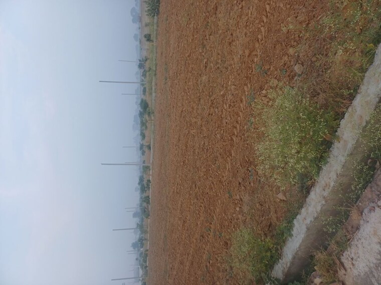 Exterior View, jewar  210 Sq.Yd. Plot In Jewar Greater Noida 9723707