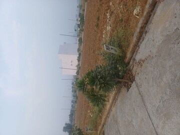  Plot For Sale in Jewar
