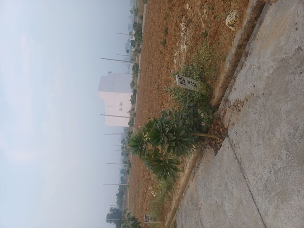 Plot For Sale in The Harit City 