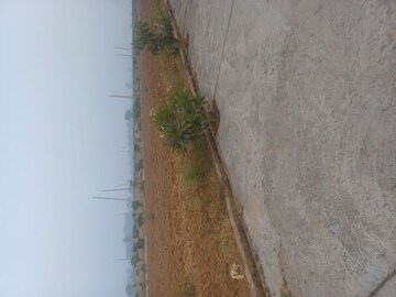  Plot – Exterior View View at Jewar - for Sale