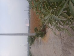 Plot For Sale in Jewar
