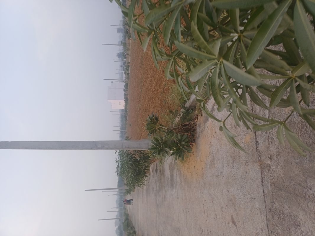 Plot For Sale in The Harit City 