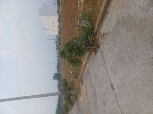  Plot For Sale in Jewar
