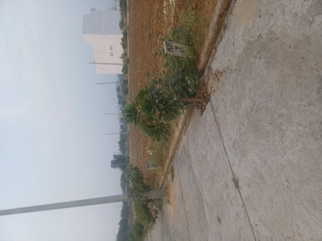 Plot For Sale in Jewar
