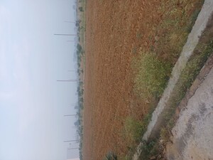  Plot – Exterior View View at Jewar - for Sale