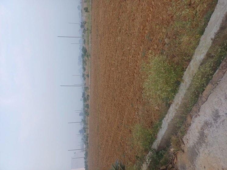 Exterior View, jewar  220 Sq.Yd. Plot In Jewar Greater Noida 9723720