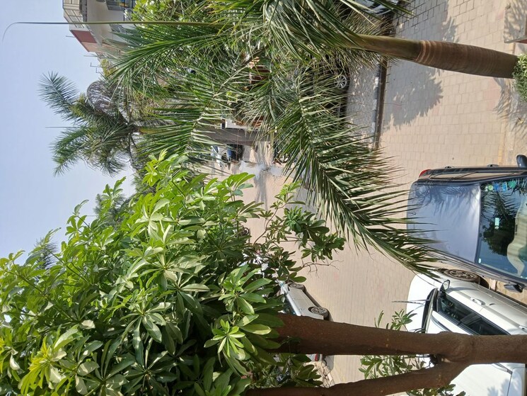 Exterior View, unitech-deerwood-chase 3 Bedroom 2400 Sq.Ft. Builder Floor In Nirvana Country Gurgaon 9723890